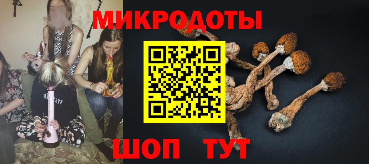 Псилоцибиновые грибы Psilocybe  Вход с VPN  Конаково 